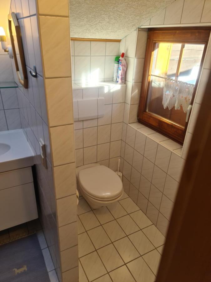Schoene Ferienwohnung Im Naturpark Grebenzen Sankt Lambrecht Exterior foto