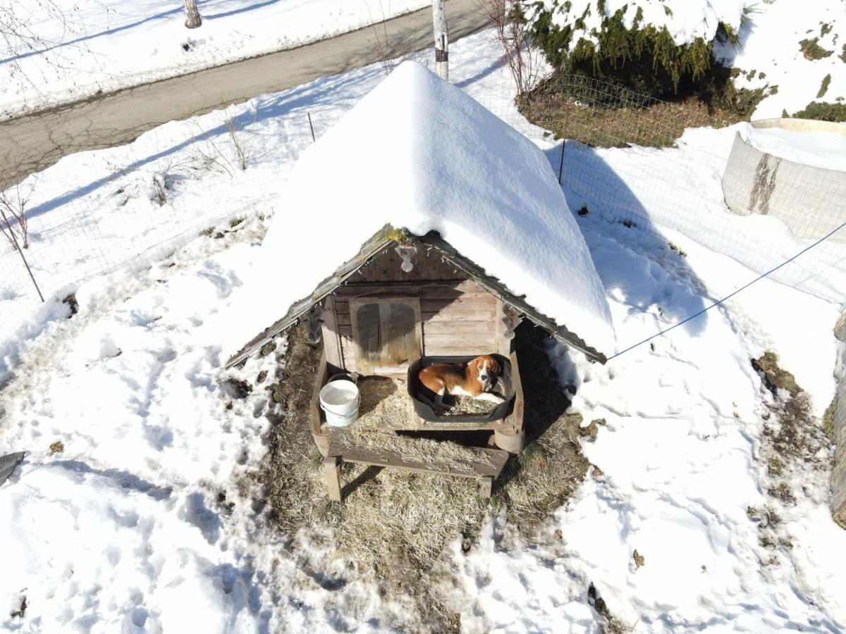 Schoene Ferienwohnung Im Naturpark Grebenzen Sankt Lambrecht Exterior foto
